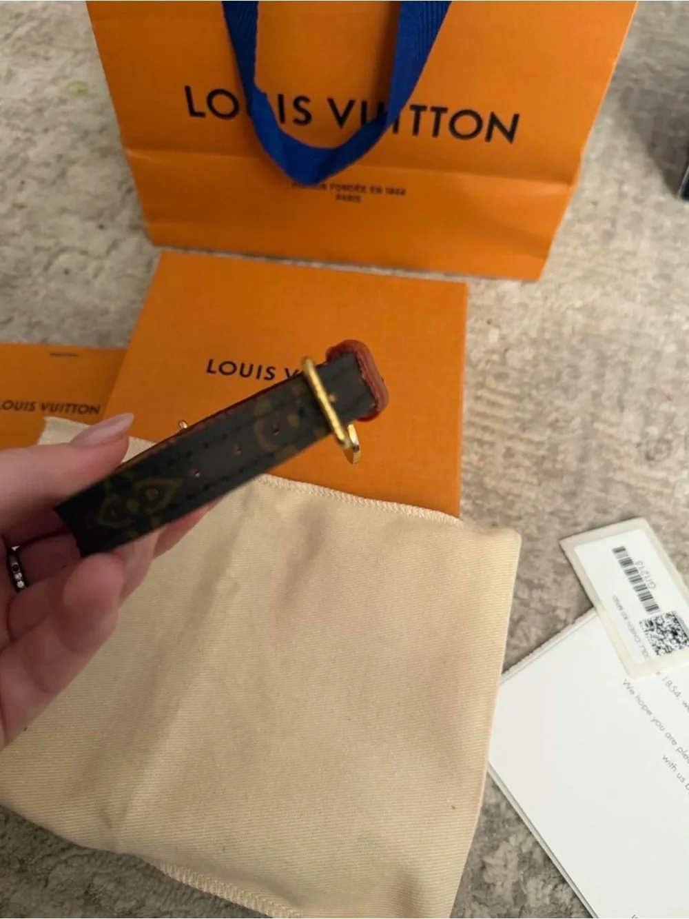 Louis Vuitton Brown Leather Pet Collar - Brown